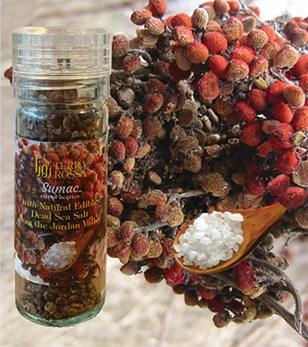 Salt and Sumac