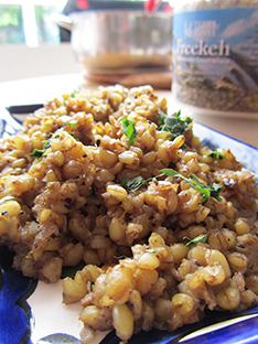 Terra Rossa - Freekeh on Blue Plate